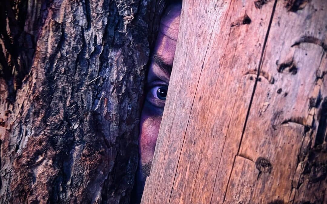 Screamfest, Burton-Upon-Trent Review 2022