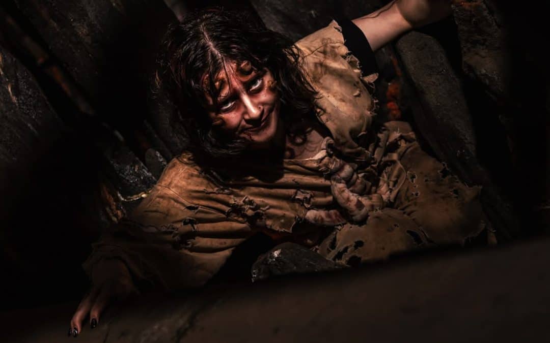 Screamfest (Burton on Trent) Review 2026